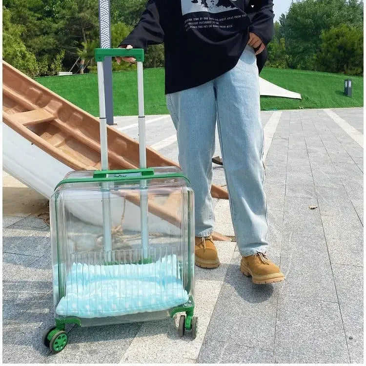 Cat Trolley Suitcase Portable Transportation Cats Bags Large Capacity Transparent Travel Products Pet Supplies Accessories