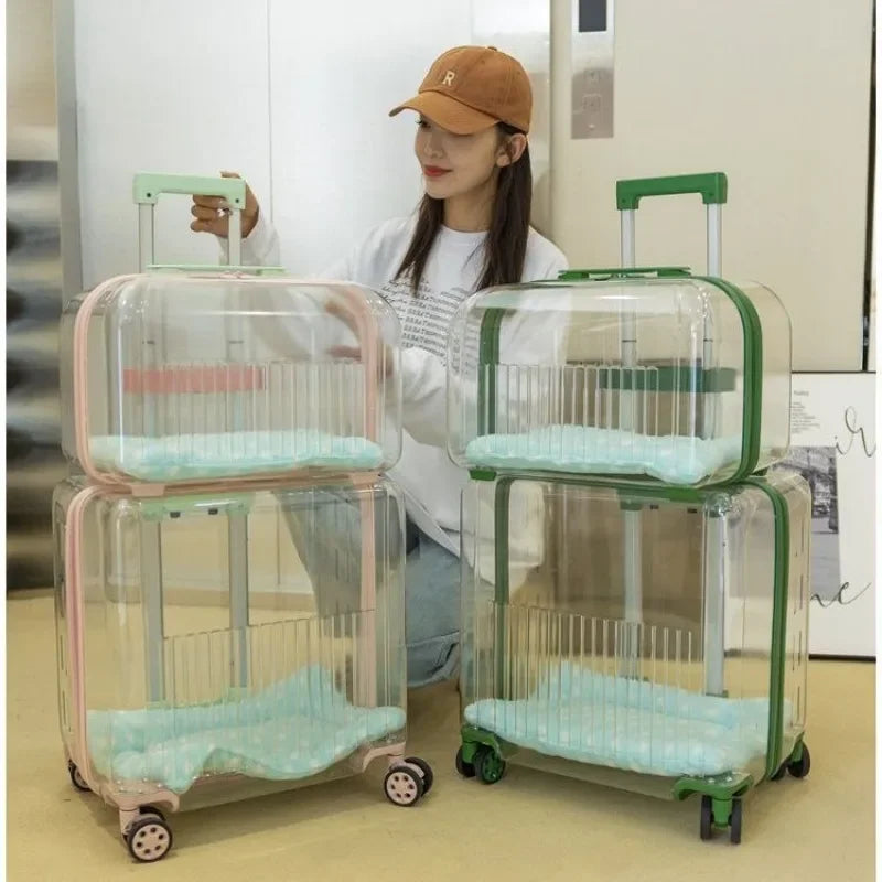 Cat Trolley Suitcase Portable Transportation Cats Bags Large Capacity Transparent Travel Products Pet Supplies Accessories