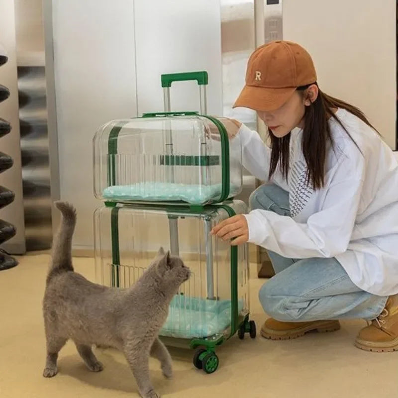Cat Trolley Suitcase Portable Transportation Cats Bags Large Capacity Transparent Travel Products Pet Supplies Accessories